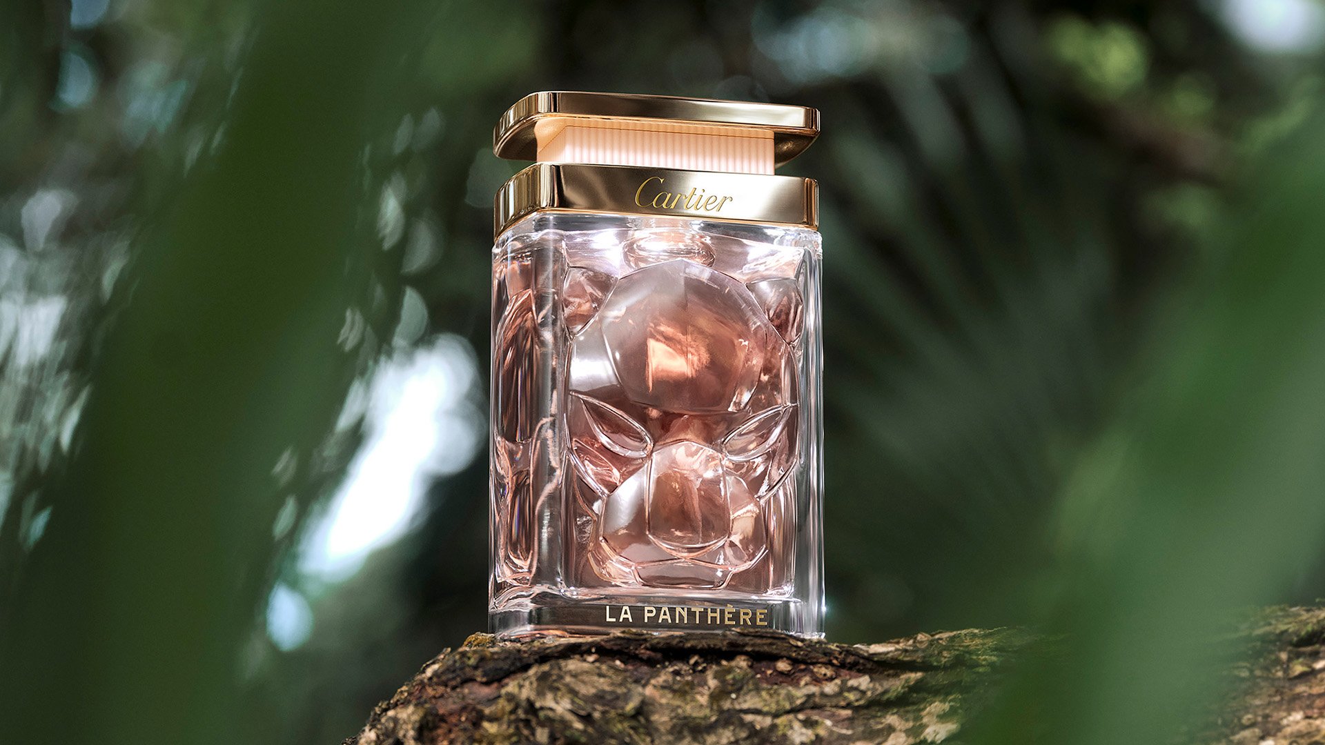 LA PANTHÈRE卡地亚猎豹女士香水新装面世— Amazedaily